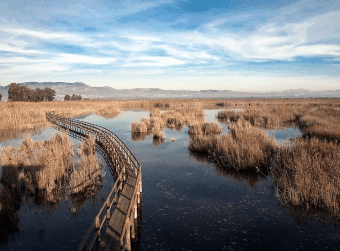 Parque Natural de El Hondo