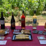 Bodega Faelo